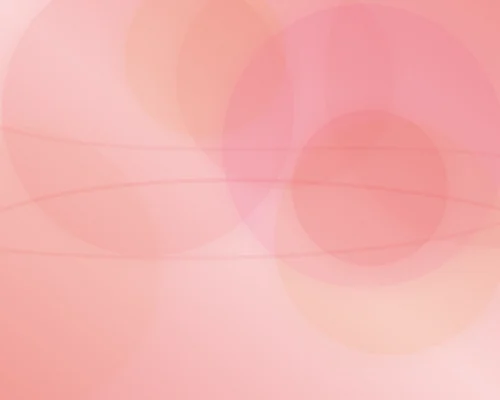 야스코리아 이용 가이드